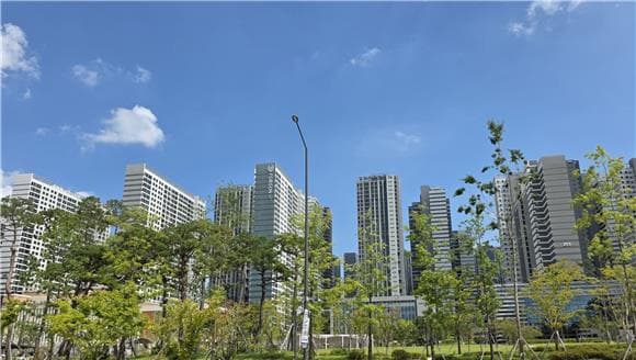 (현장+)실거주 의무 있는 '올파포' 가보니…정책 혼선에 매도 셈법 ‘복잡’